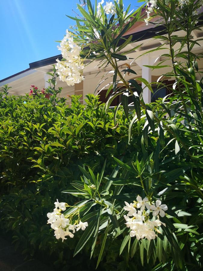 Da Alduccio Bed & Breakfast Vico Del Gargano Exterior photo